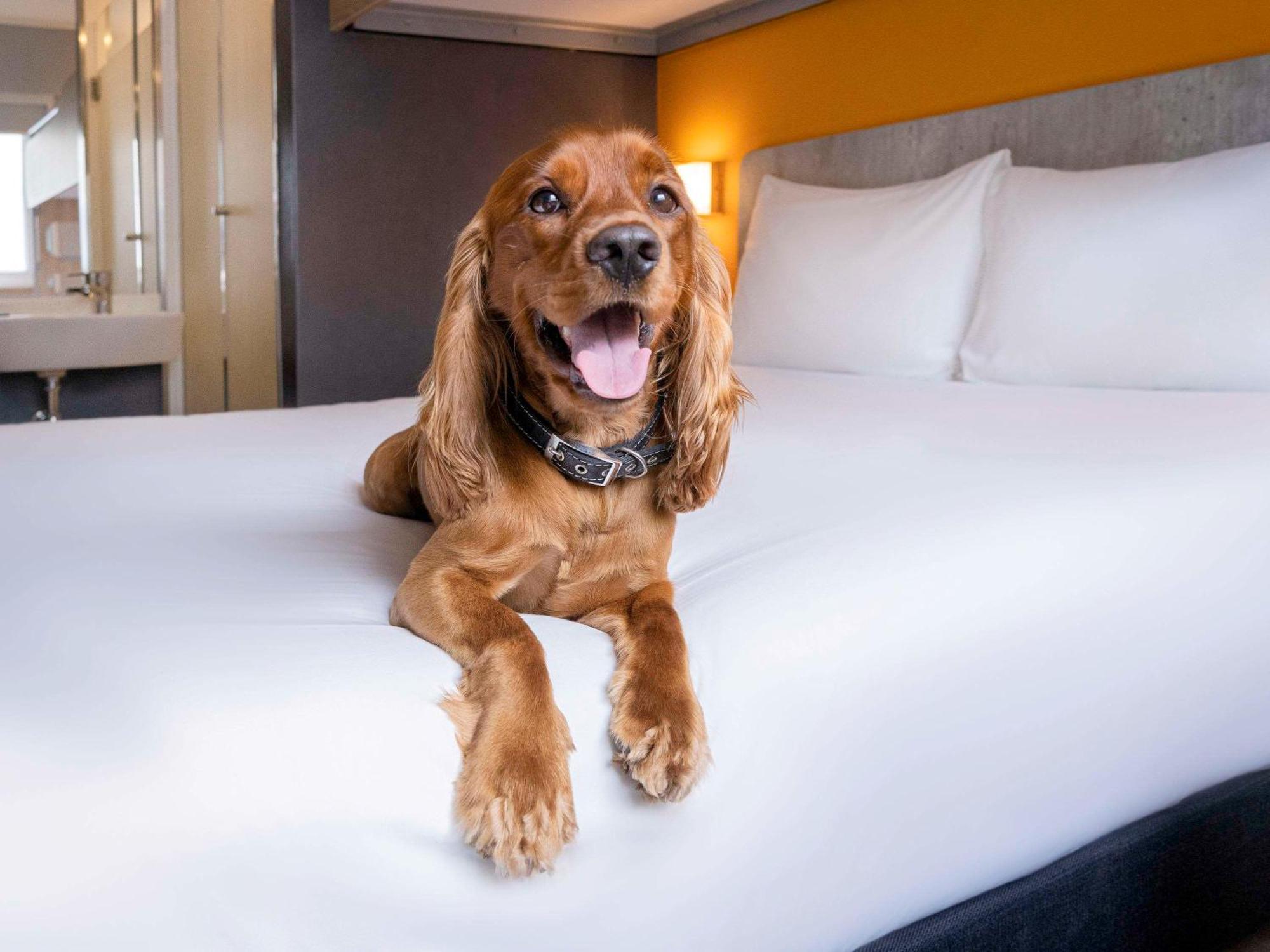 Ibis Budget Lima Miraflores Екстериор снимка
